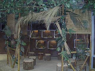 Urwaldhütte im Reptilium Landau. © Reptilium Terrarien- und Wüstenzoo GmbH