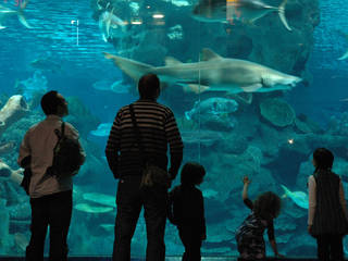 Blue Planet Aquarium &copy; Joccay